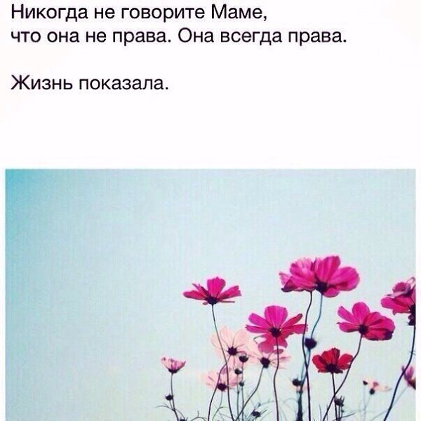   - 12  2017  03:01