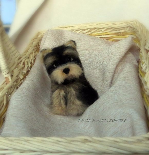     .:  #@https://fotostrana.ru/away?to=/sl/XE2 - 5