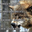  ,  -  4  2016    