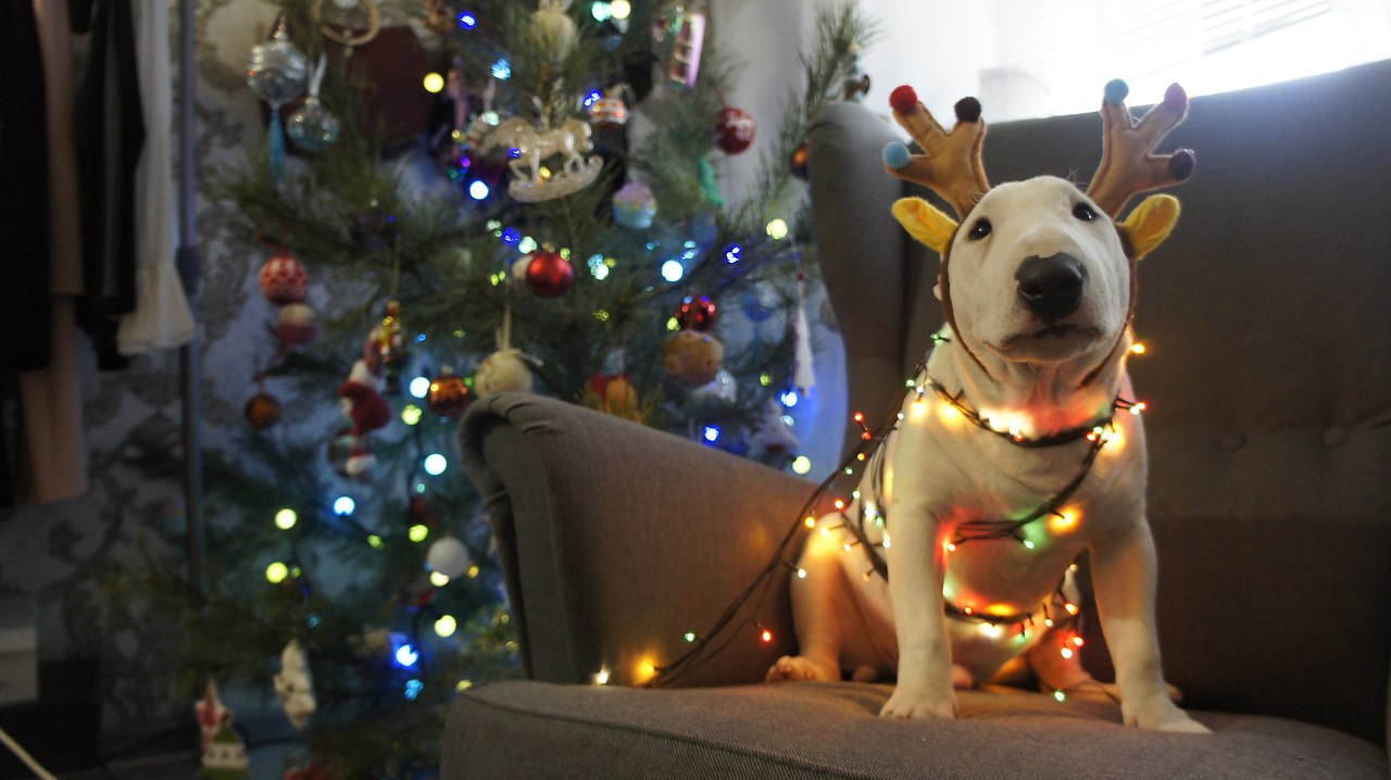 Hrafnsmerki things - https://fotostrana.ru/away?to=/sl/7feПредставляет вещички с авторским принтом, ... - 4