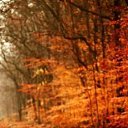 ���� Stase, �������, 63 ���� - ��������� 9 ������� 2016 � ������ ������ ��������