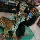 ���� ������, ������ - ��������� 5 ������� 2016 � ������ ������