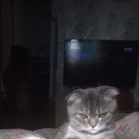 ���� ����������, ������, 40 ��� - ��������� 22 �������� 2016 � ������ ���� ����������