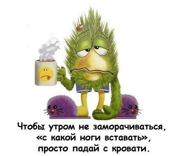   - 3  2016  10:41