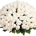 ���� Serg, ������, 66 ��� - ��������� 15 ������� 2016 � ������ ���� ����!!!�