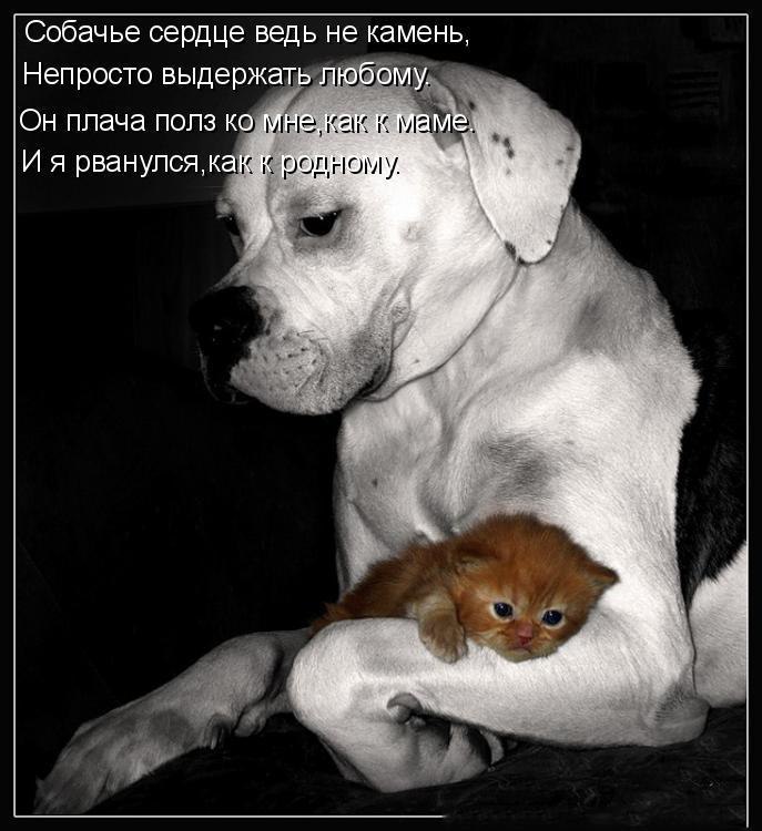  - 25  2017  17:42