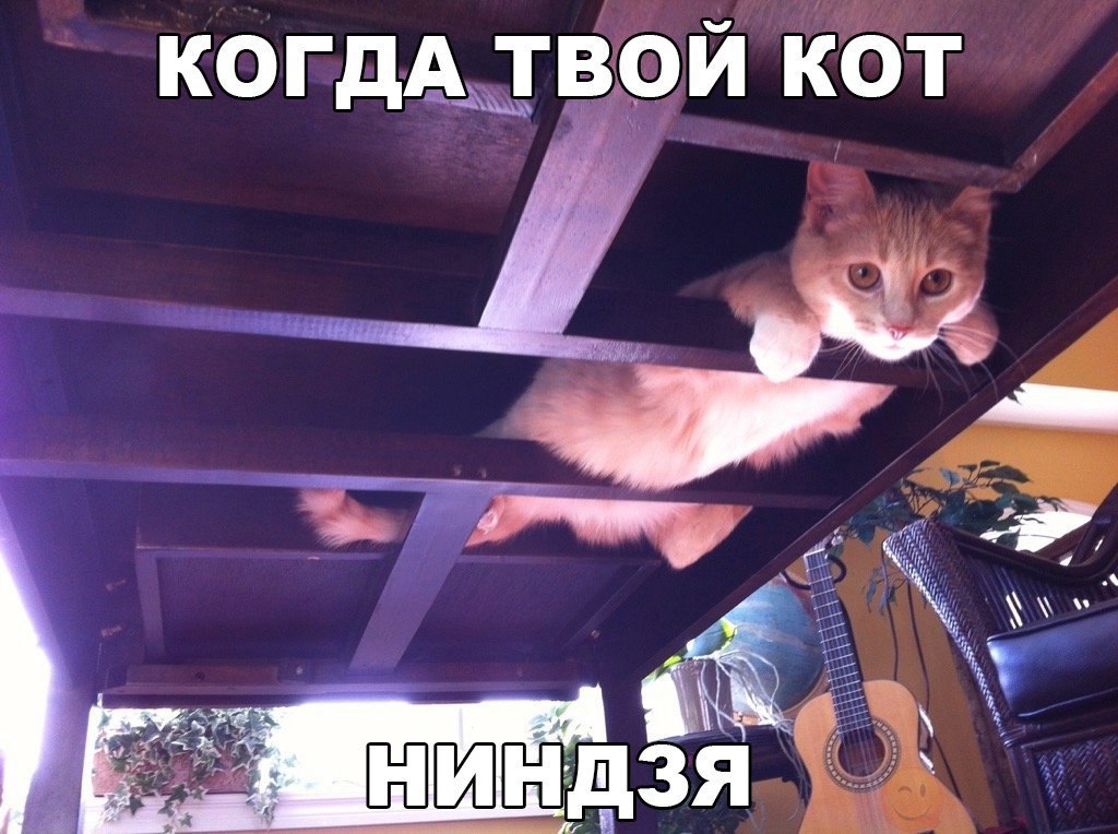   :D - 5  2017  02:05
