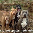 ���� ������, ������, 59 ��� - ��������� 7 ������ 2016 � ������ ���� ����������