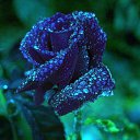 ���� ����, ���� - ��������� 9 ������� 2016 � ������ ������ ��������