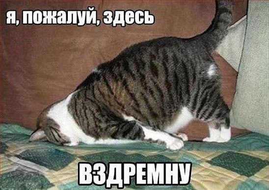 ��� ������ ��� - 14 ����� 2017 � 10:17