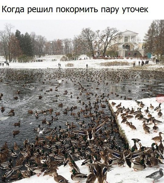  - 10  2016  01:31