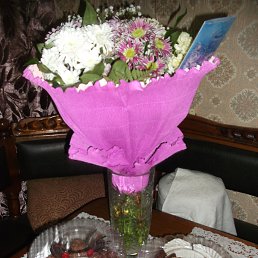 ���� �������, ��� - ��������� 15 ������� 2016