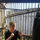 ���� Dmitriy, ������, 33 ���� - ��������� 17 �������� 2016 � ������ ���� ����������
