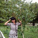 ���� ����, �����-���������, 57 ��� - ��������� 19 �������� 2016 � ������ ���� ����������