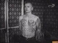   . XX - XXI  (2016).:    -    , ... - 3