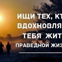 ���� ����, ����, 44 ���� - ��������� 13 ������ 2017