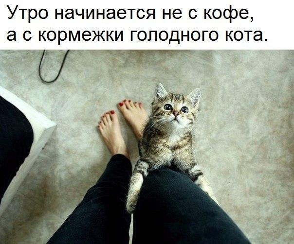 ������ ����� - 20 ������� 2016 � 10:15