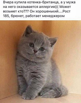  - 28  2016  20:52