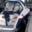 ���� �������, �������, 49 ��� - ��������� 8 ������� 2017 � ������ ���� ����������