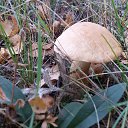 ���� ������, ����� ������, 58 ��� - ��������� 10 ������� 2016 � ������ ������ ����� 2016�