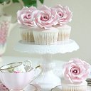  ,  -  24  2017   Pictures