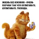 ���� �����, ��������� - ��������� 27 �������� 2016 � ������ ������ ��������