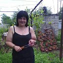 ���� ����������, �������� - ��������� 8 ������ 2017 � ������ �� � ��� ������