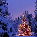 ���� �����, �����, 63 ���� - ��������� 31 ������� 2016 � ������ ������ ��������