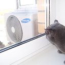 ���� Mech Ta, �����, 54 ���� - ��������� 25 ������� 2016 � ������ ���� ����������