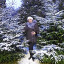 ���� �����, ����������� - ��������� 3 ������ 2017 � ������ ���� ����������