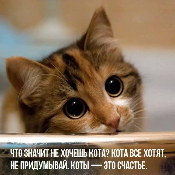       - 3  2016  13:21