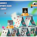 ���� ����, ������, 73 ���� - ��������� 20 ������� 2016 � ������ �������� �������-�������