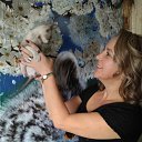 ���� �������, ��������� - ��������� 10 ������� 2016 � ������ ���� ����������