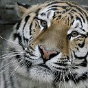 ���� ����, ������������, 55 ��� - ��������� 19 ������� 2016 � ������ ���� ����������