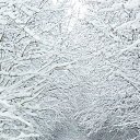 ���� �����, ���������� - ��������� 10 ������ 2017 � ������ ���� ����������