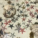 ���� Vincent, ������������, 50 ��� - ��������� 8 ������ 2017 � ������ ���� ����������