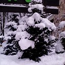 ���� ������, �����, 60 ��� - ��������� 12 ������� 2016 � ������ ���� ����������