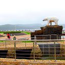 ���� Anatol, ������� - ��������� 5 ������� 2016 � ������ �����������. �. �������. �����������.�