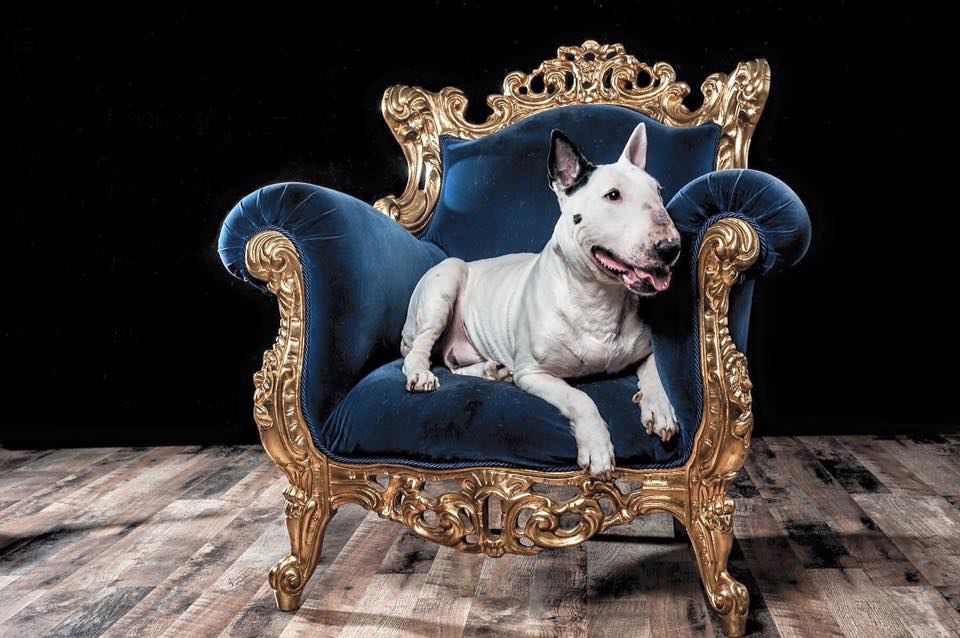 Выходные это прекрасно.Делимся в комментариях субботними фото с прогулки или с дивана