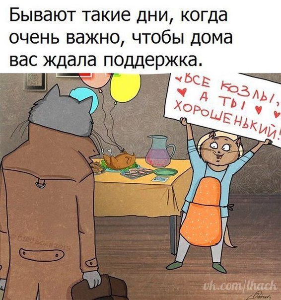  - 17  2017  17:11
