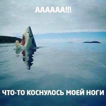 ��� ��� ��� ����