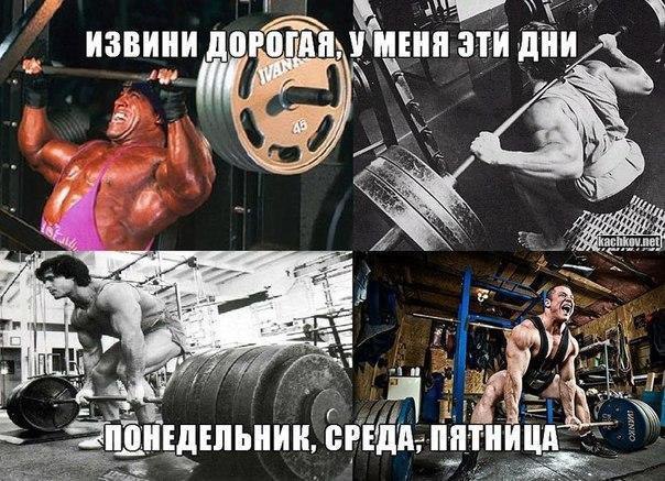  -   - 21  2016  23:11