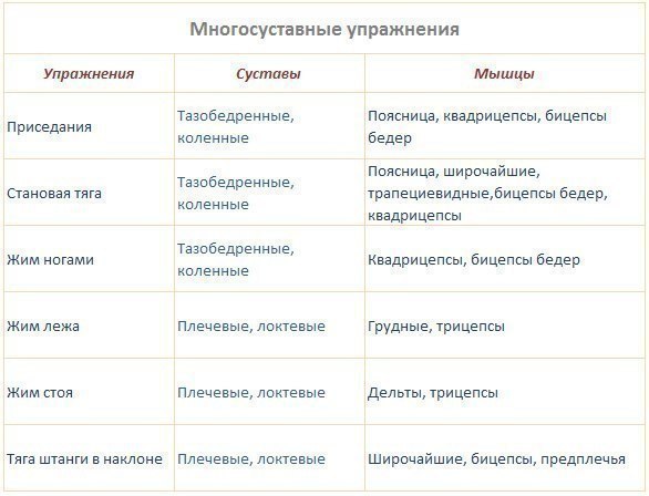 Многосуставные упражнения. Односуставные и многосуставные упражнения. Многосуставные упражнения список. Базовые и изолирующие упражнения.