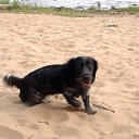 ���� ����, �������, 43 ���� - ��������� 23 ������� 2016 � ������ ���� ����������