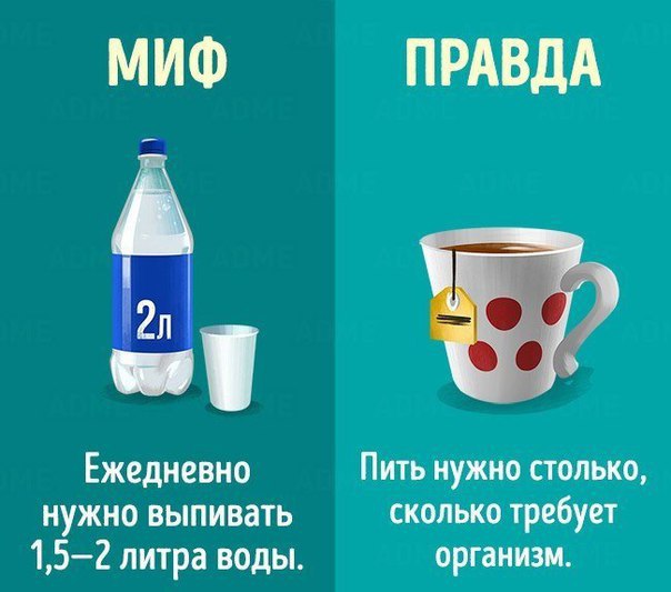  - 24  2017  04:46 - 7