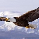 ���� ������, ������ - ��������� 5 ������� 2016 � ������ ��������