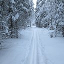 ���� �������, �����, 36 ��� - ��������� 18 ������� 2016 � ������ ���� ����������