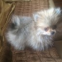 ���� �����, ������������, 45 ��� - ��������� 14 �������� 2016 � ������ ���� ����������