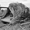 ���� ������, ���������, 54 ���� - ��������� 3 ����� 2017