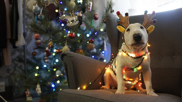 Hrafnsmerki things - https://vk.com/hrafnsmerki.    , ... - 4